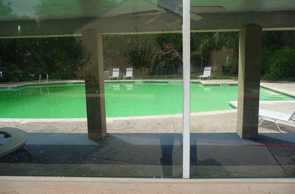 Green Pool Water? Here’s How to Fix It